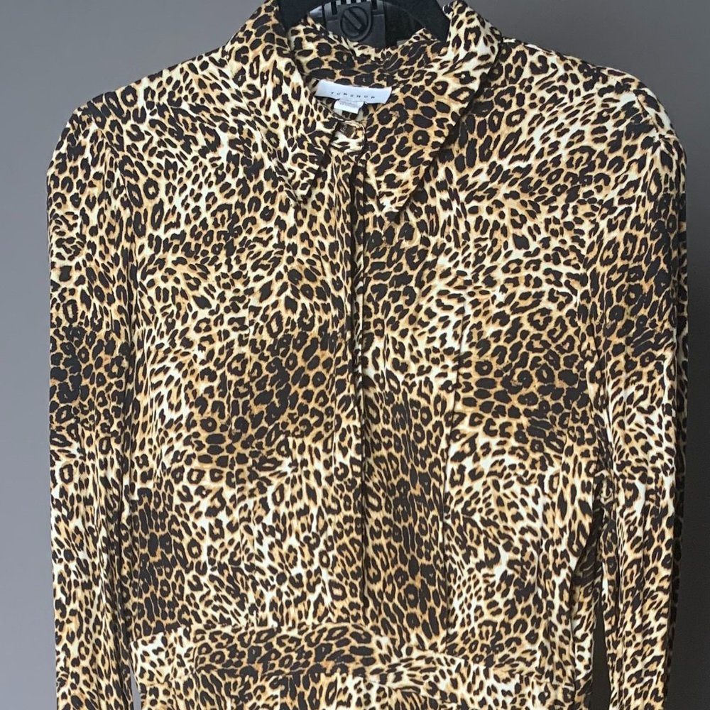 Topshop Leopard Print Dress